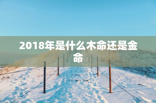 2018年是什么木命还是金命