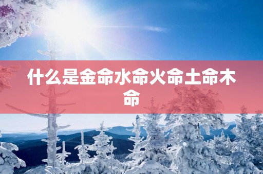 什么是金命水命火命土命木命