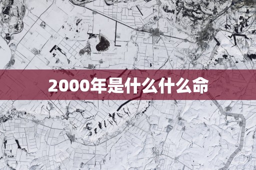 2000年是什么什么命