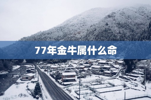 77年金牛属什么命