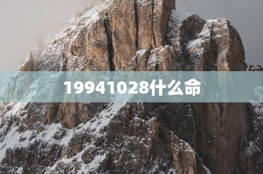 19941028什么命