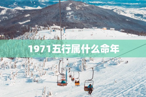 1971五行属什么命年