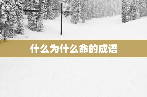 什么为什么命的成语