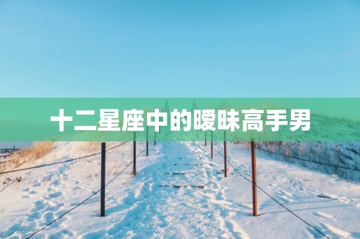十二星座中的暧昧高手男