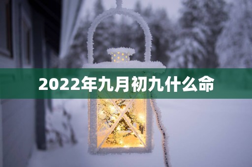 2025年九月初九什么命