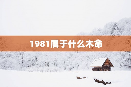 1981属于什么木命