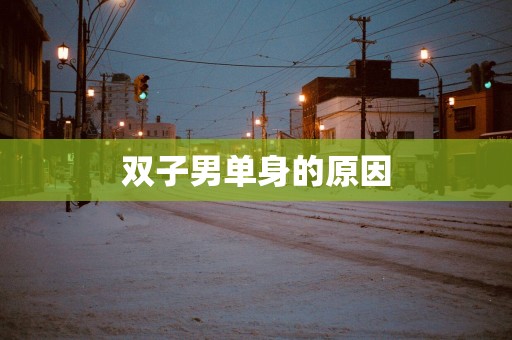 双子男单身的原因