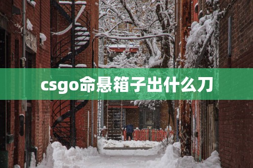 csgo命悬箱子出什么刀