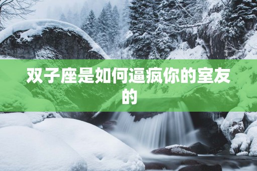 双子座是如何逼疯你的室友的