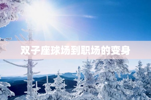 双子座球场到职场的变身