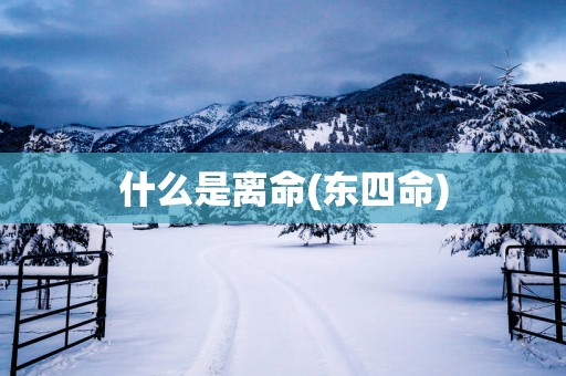 什么是离命(东四命)