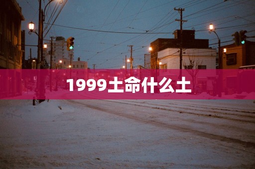 1999土命什么土