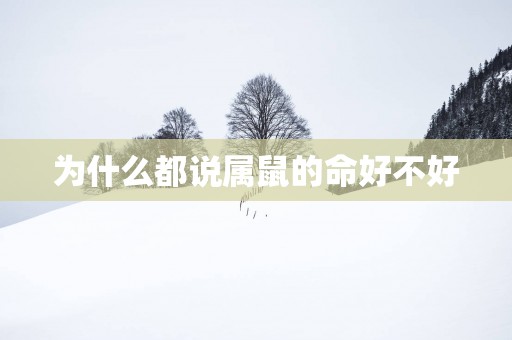 为什么都说属鼠的命好不好