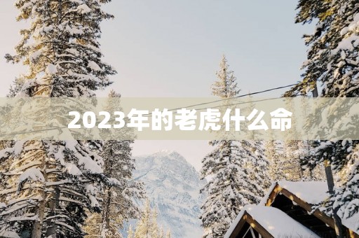 2025年的老虎什么命