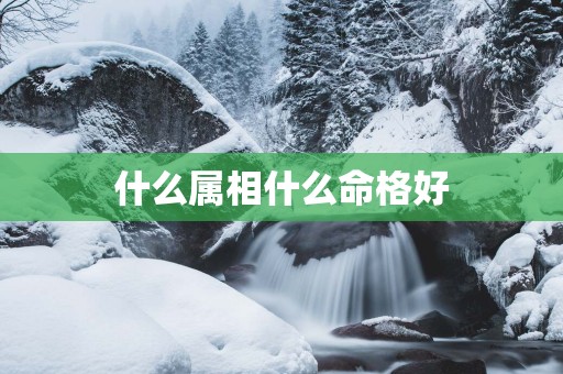 什么属相什么命格好