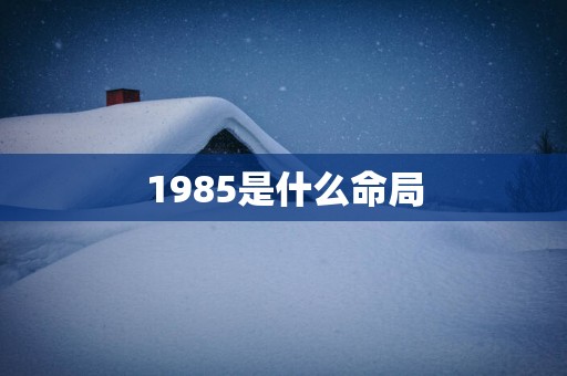 1985是什么命局