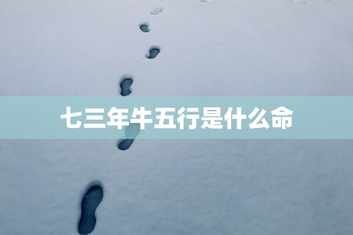 七三年牛五行是什么命