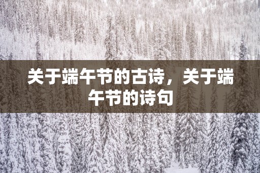 关于端午节的古诗，关于端午节的诗句