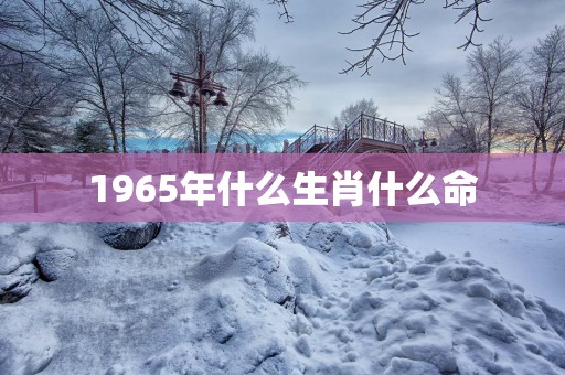 1965年什么生肖什么命