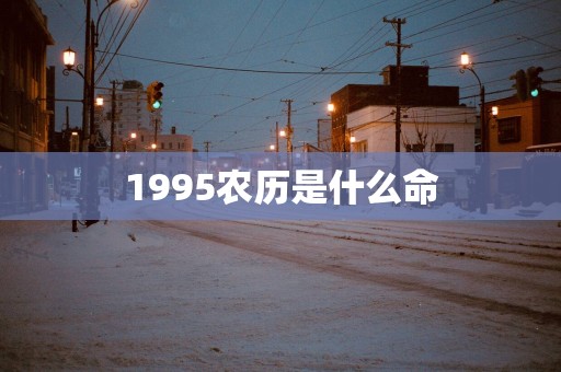 1995农历是什么命