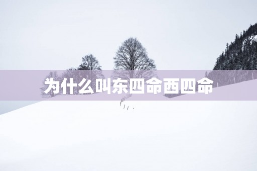 为什么叫东四命西四命