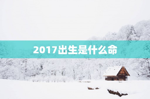 2017出生是什么命