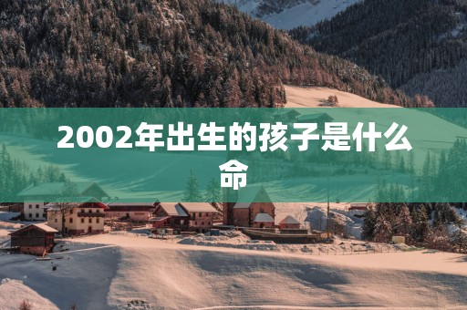 2002年出生的孩子是什么命