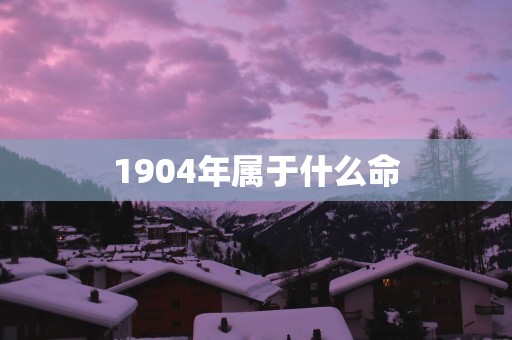 1904年属于什么命