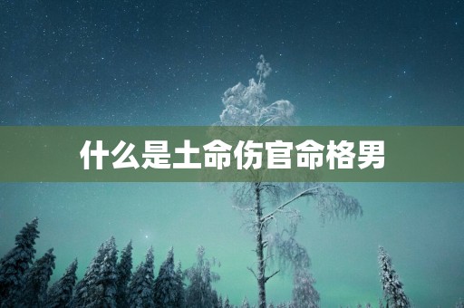 什么是土命伤官命格男