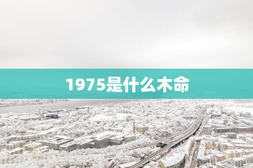 1975是什么木命
