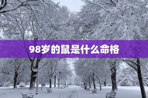 98岁的鼠是什么命格
