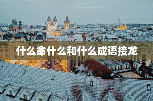 什么命什么和什么成语接龙