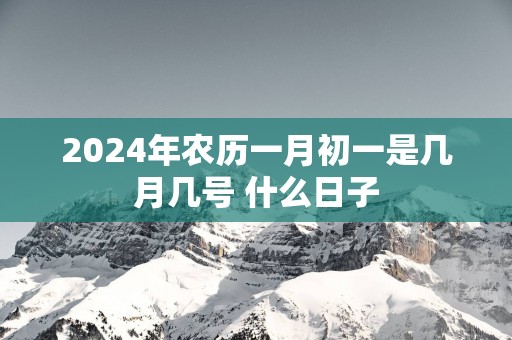 2025年农历一月初一是几月几号 什么日子