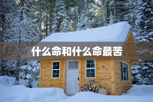 什么命和什么命最苦