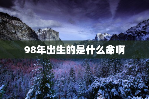 98年出生的是什么命啊