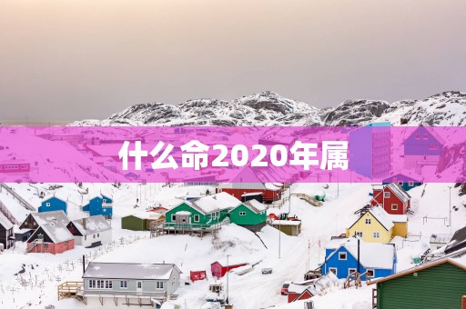 什么命2025年属