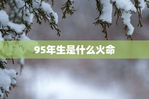 95年生是什么火命
