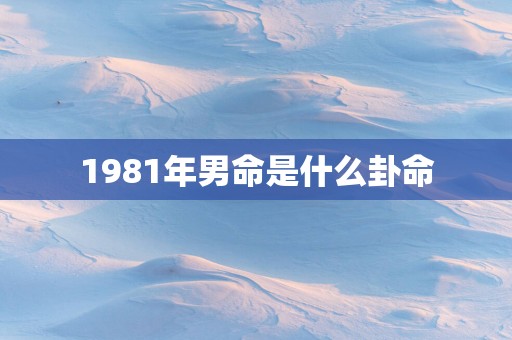 1981年男命是什么卦命