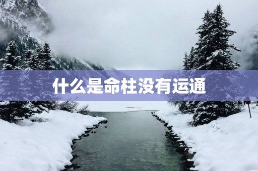 什么是命柱没有运通