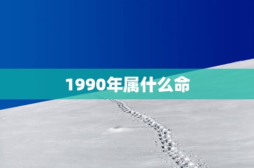 1990年属什么命