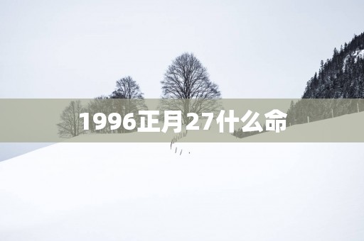 1996正月27什么命