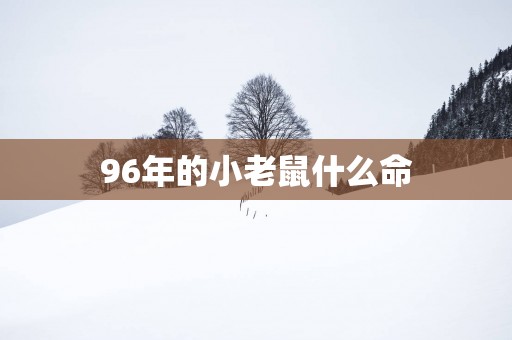 96年的小老鼠什么命