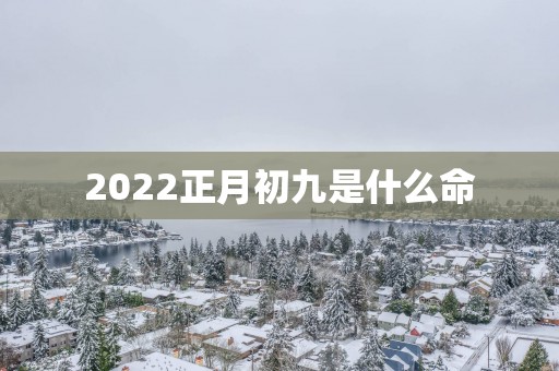 2025正月初九是什么命