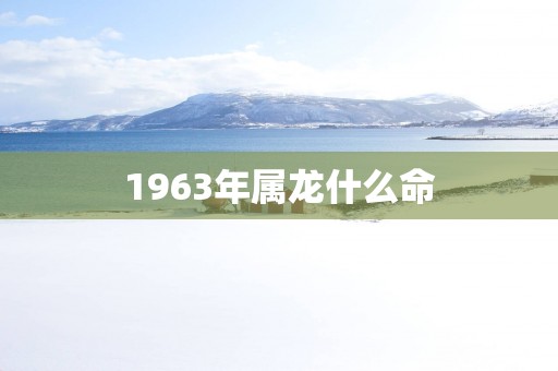 1963年属龙什么命