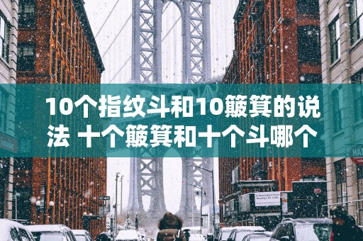 10个指纹斗和10簸箕的说法 十个簸箕和十个斗哪个好