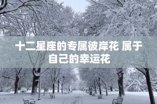 十二星座的专属彼岸花 属于自己的幸运花