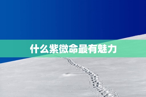 什么紫微命最有魅力