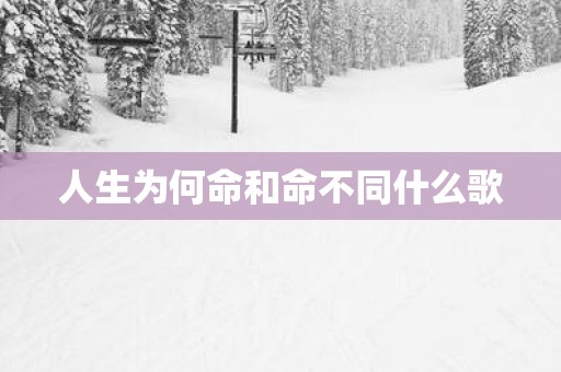 人生为何命和命不同什么歌
