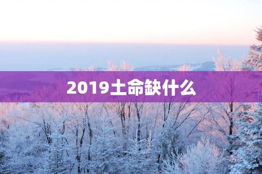 2019土命缺什么
