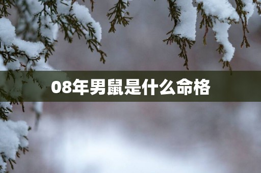 08年男鼠是什么命格